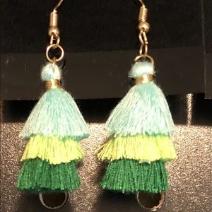 Trim colored earrings